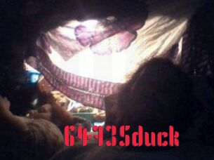 64735duck