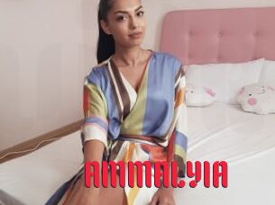 AMMALYIA