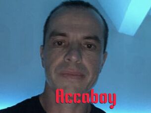 Accaboy