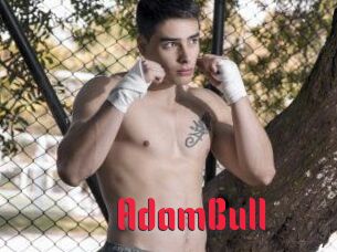 AdamBull