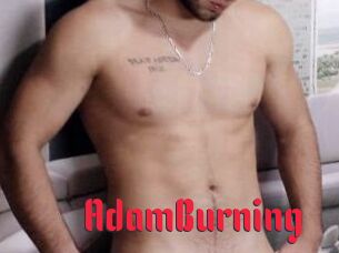 AdamBurning