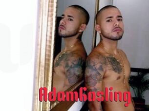 AdamGosling