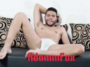 AdammFox