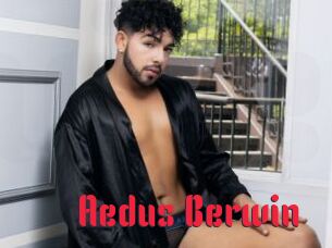 Aedus_Berwin
