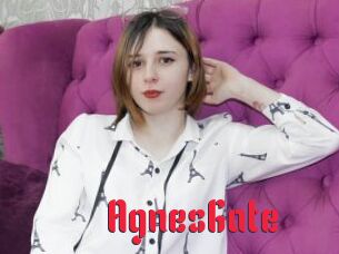 AgnesGate
