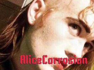 AliceCorrosion