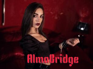 AlmaBridge Video Extrait