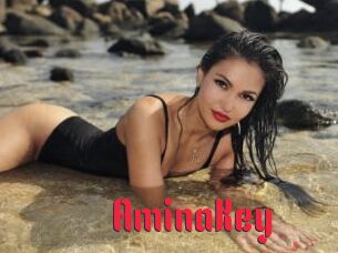 AminaKey