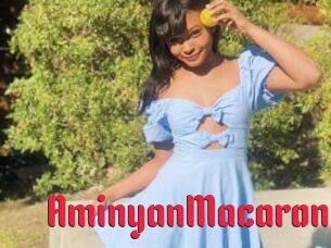 AminyanMacaron