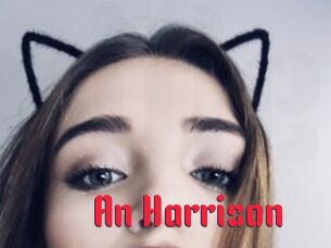 An_Harrison