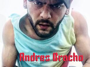 Andres_Bracho