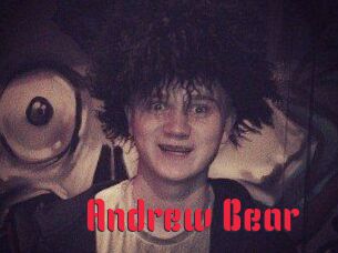 Andrew_Bear