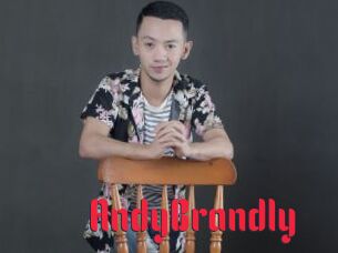 AndyBrandly