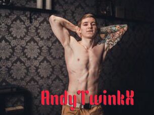 AndyTwinkX