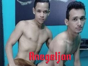Anegeljan