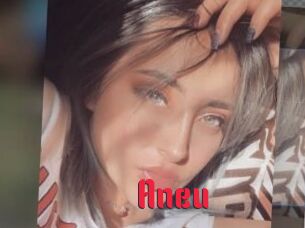 Aneu