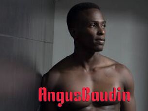 AngusBaudin