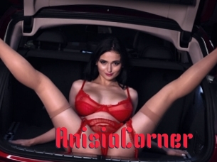 AnisiaCorner