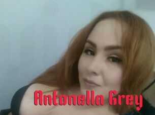 Antonella_Grey