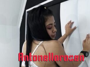 Antonellarosen