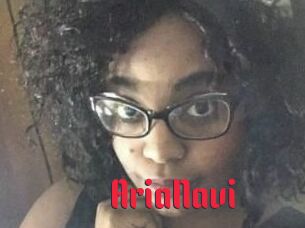 AriaNavi