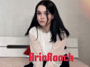 AriaRoach