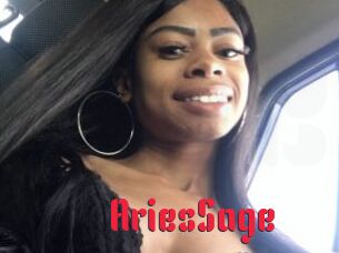 AriesSage