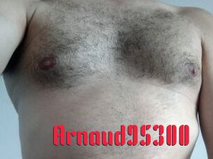Arnaud95300
