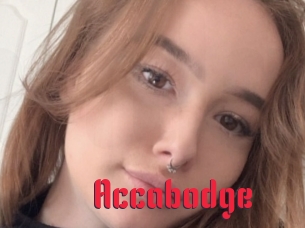 Accabodge