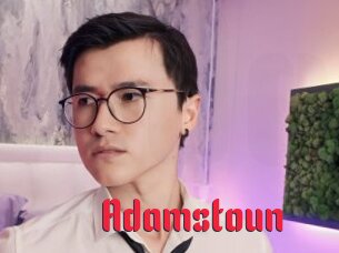 Adamstoun