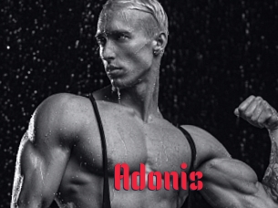 Adonis_