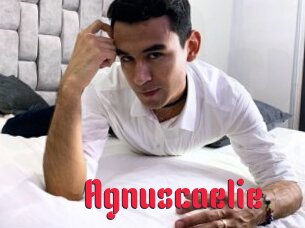 Agnuscaelie