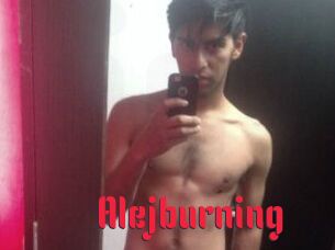 Alejburning