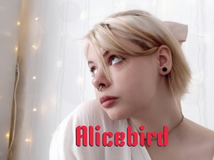 Alicebird