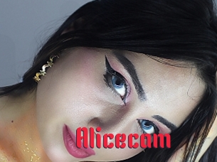 Alicecam