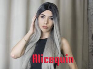 Alicequin