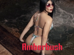 Amberbush