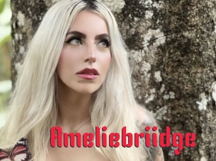 Ameliebriidge