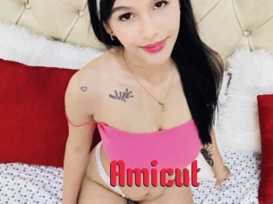 Amicut