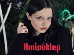 Aminaklep
