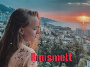 Amismett