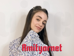 Amityarnet