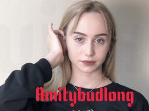 Amitybudlong