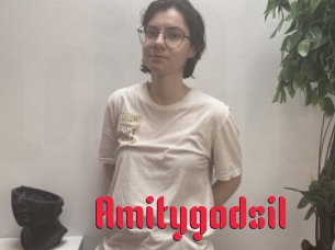 Amitygodsil