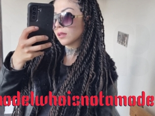 Amodelwhoisnotamodel