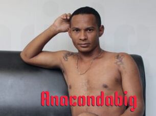 Anacondabig