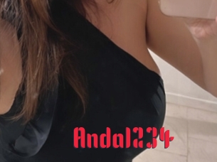 Anda1234
