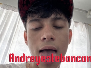 Andreyestebancam