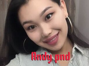 Andy_pnd