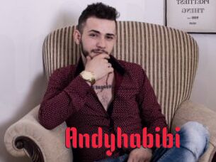 Andyhabibi